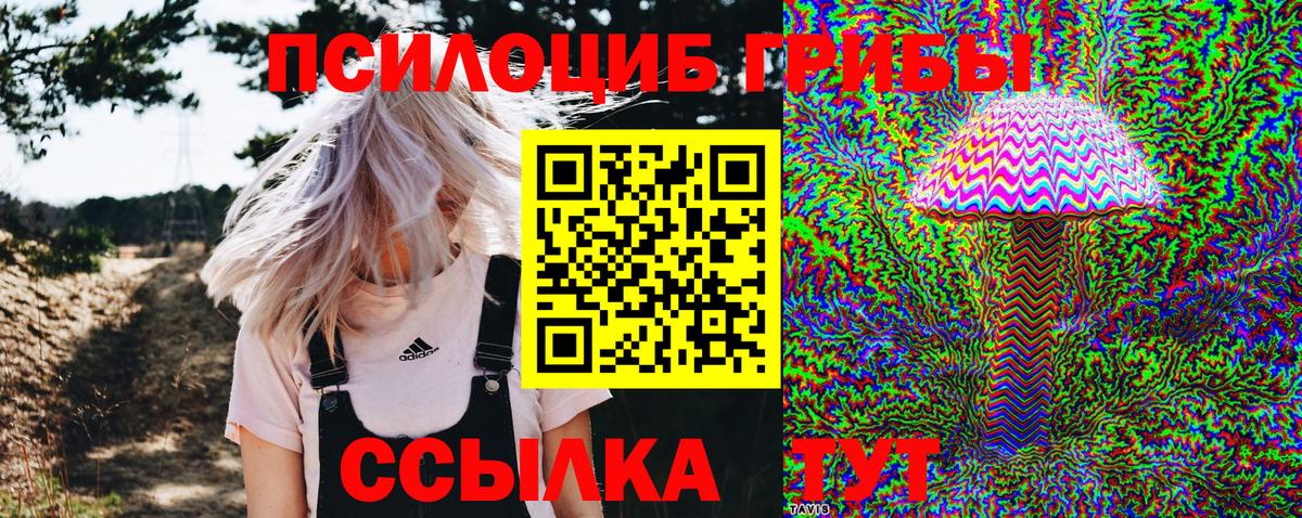 Галлюциногенные грибы Magic Shrooms  Вход с VPN  Вязники 